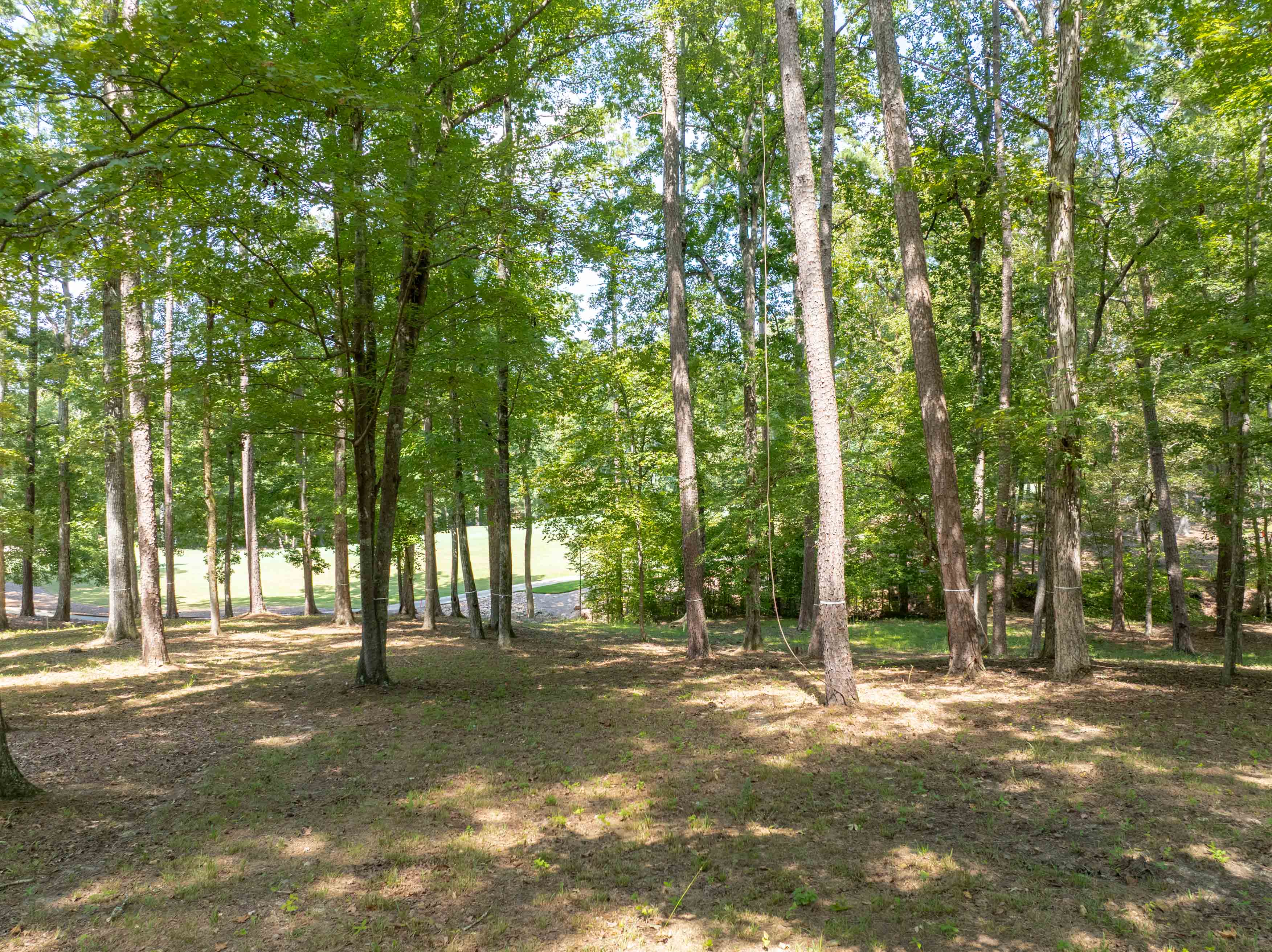 1021 Branson Bluff image 5